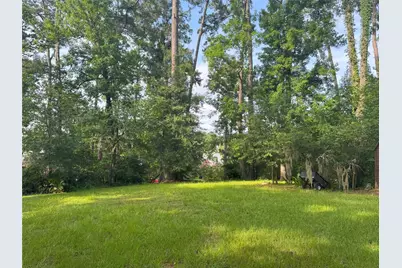 Tbd Lakeshore /Black Walnut Drive, Coldspring, TX 77331 - Photo 16