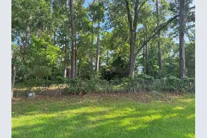 Tbd Lakeshore /Black Walnut Drive, Coldspring, TX 77331 - Photo 4