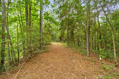 38 Darrell White Road, Huntsville, TX 77340 - Photo 42