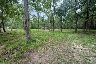 78 Hall Dr N, Montgomery, TX 77316 - Photo 4