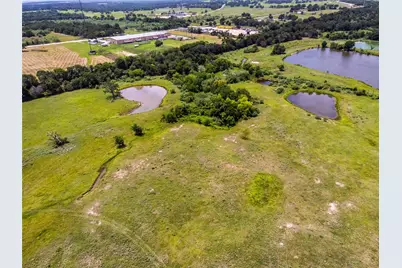 59.51 Acres Cr 208, Giddings, TX 78942 - Photo 6