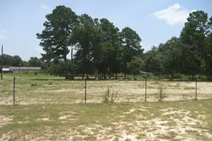 2279 An County Road 1209, Grapeland, TX 75844 - Photo 18