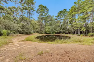 10331 Iron Ore Rd, Conroe, TX 77303 - Photo 36