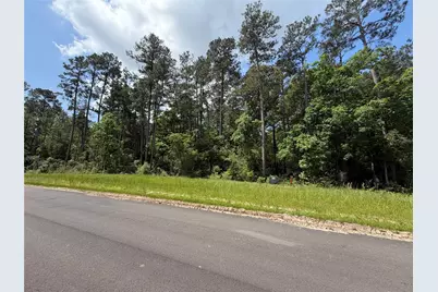 15744 Ridge Oak Road, Willis, TX 77378 - Photo 1
