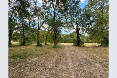 0 Mount Zion Road, New Waverly, TX 77358 - Photo 6