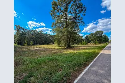 0 Mount Zion Road, New Waverly, TX 77358 - Photo 12