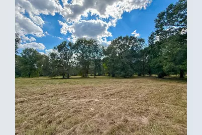 0 Mount Zion Road, New Waverly, TX 77358 - Photo 4