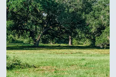 10671 Hidalgo Falls Rd, Washington, TX 77880 - Photo 6