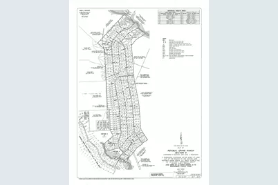 15697 Forest Grove Drive, Willis, TX 77378 - Photo 4