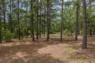 1555 Wildwood Road, Ledbetter, TX 78946 - Photo 24