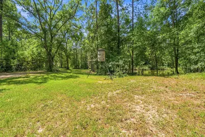 340 Tree Monkey Road, Livingston, TX 77351 - Photo 36