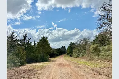 Tbd Sycamore Lane, Hilltop Lakes, TX 77871 - Photo 10