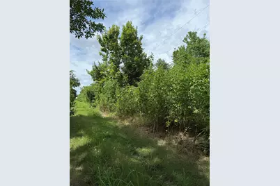 000 Pine, Brazoria, TX 77422 - Photo 2