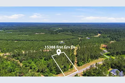 15388 Forest Grove Drive, Willis, TX 77378 - Photo 12