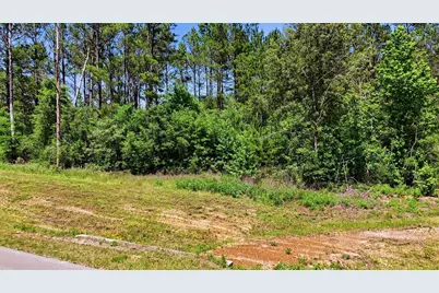 15388 Forest Grove Drive, Willis, TX 77378 - Photo 10
