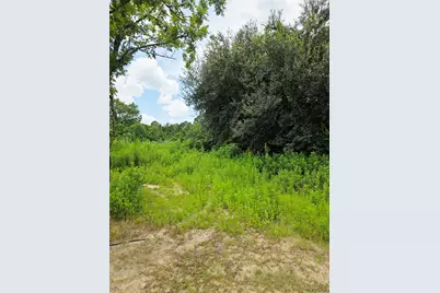 50 Robert E Lee Drive, Conroe, TX 77302 - Photo 6