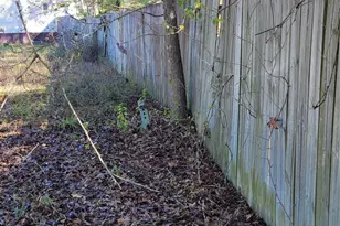 16549 E Emerson Cir, Conroe, TX 77306 - Photo 8