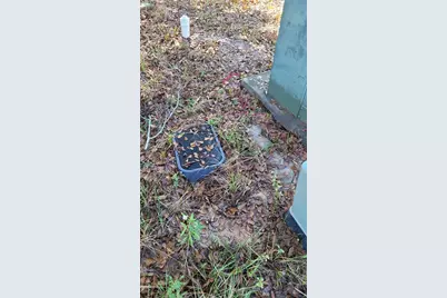 16549 E Emerson Circle, Conroe, TX 77306 - Photo 4