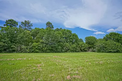 8299 County Road 179, Richards, TX 77873 - Photo 30