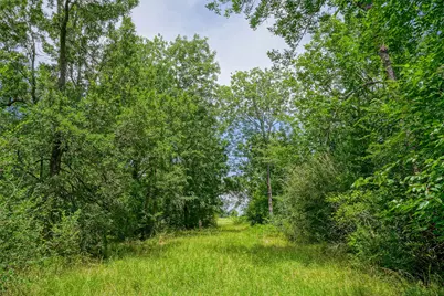 8299 County Road 179, Richards, TX 77873 - Photo 28