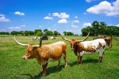 8299 County Road 179, Richards, TX 77873 - Photo 36