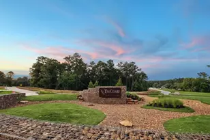 8823 Woodland Oaks Dr, Plantersville, TX 77363 - Photo 4