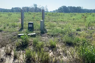3083 Rd 66124, Dayton, TX 77535 - Photo 4