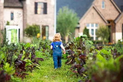 282 Sunrise Pepper Lane, Richmond, TX 77406 - Photo 12