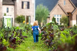 282 Sunrise Pepper Ln, Richmond, TX 77406 - Photo 12