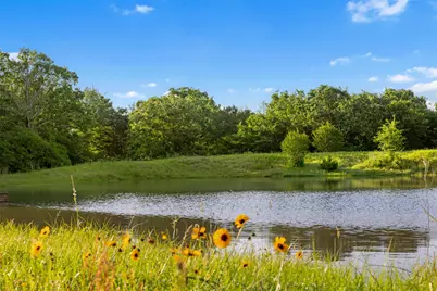 Tbd Little Mississippi Cemetery Road, Franklin, TX 77856 - Photo 4