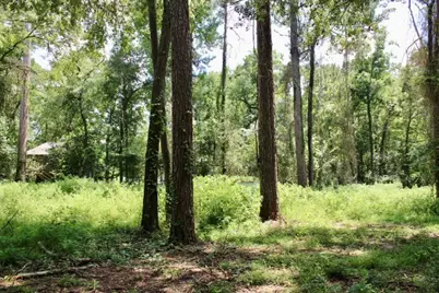 410 Dogwood Trail, Conroe, TX 77316 - Photo 10