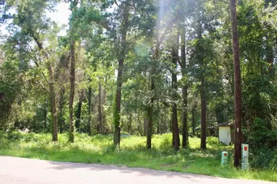 410 Dogwood Trail, Conroe, TX 77316 - Photo 1