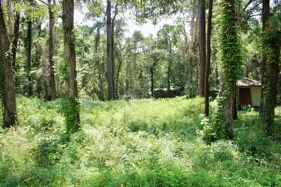 410 Dogwood Trail, Conroe, TX 77316 - Photo 8