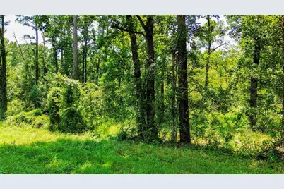 Lot 532 & 533 Tx-156, Coldspring, TX 77331 - Photo 2