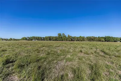 Tract 2 Nelius Road, Bellville, TX 77418 - Photo 4