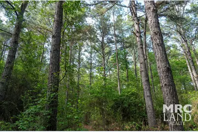 00 Farm To Market 357, Kennard, TX 75847 - Photo 36