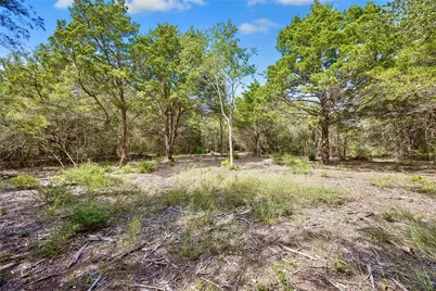 8494 Timber Cove Lane, Chappell Hill, TX 77426 - Photo 4