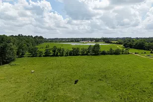 41115 Community Rd, Magnolia, TX 77354 - Photo 36