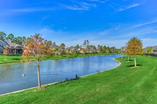 10660 Red Tail Pl, Conroe, TX 77385 - Photo 42
