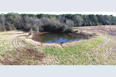 1475 Southfield Trail, Lovelady, TX 75851 - Photo 12