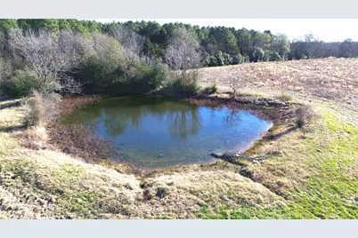 1475 Southfield Trail, Lovelady, TX 75851 - Photo 10