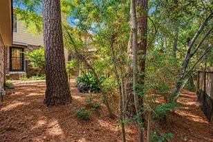 42 Thorn Berry Pl, The Woodlands, TX 77381 - Photo 44