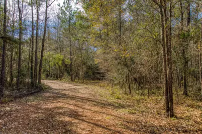 5280 Whitaker Way, Anderson, TX 77830 - Photo 4