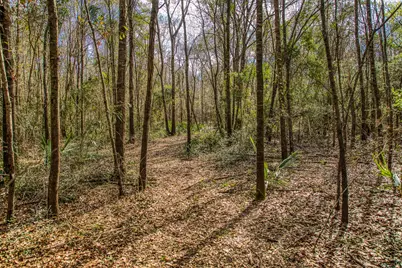 5280 Whitaker Way, Anderson, TX 77830 - Photo 6