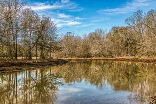 5280 Whitaker Wy, Anderson, TX 77830 - Photo 1