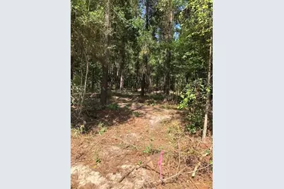 0 Kickapoo - Tract 33 Colt II Road, Groveton, TX 75845 - Photo 2