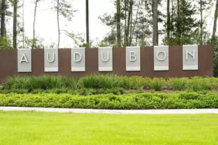 39219 Water Rail Ct, Magnolia, TX 77354 - Photo 22