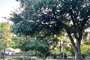 26418 Meadow Dawn Ln, Katy, TX 77494 - Photo 34