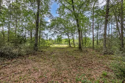 27527 Tepee Trail, Hockley, TX 77447 - Photo 48