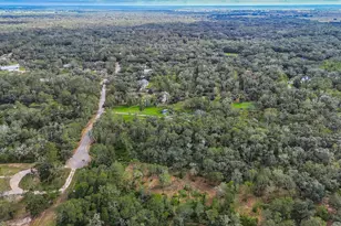 0 Live Oak St, Damon, TX 77430 - Photo 28